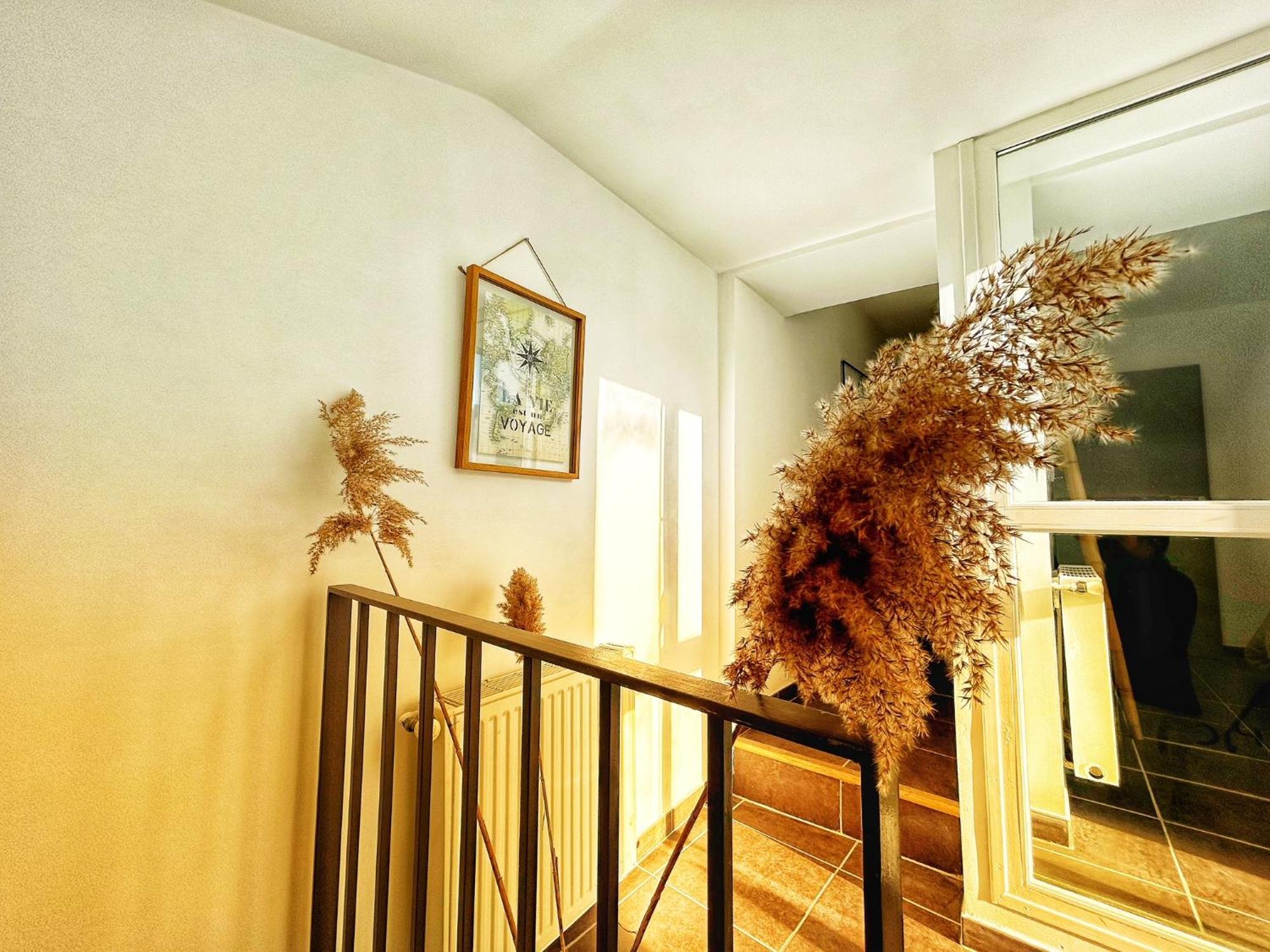 Olive Serenity Arles Esterno foto